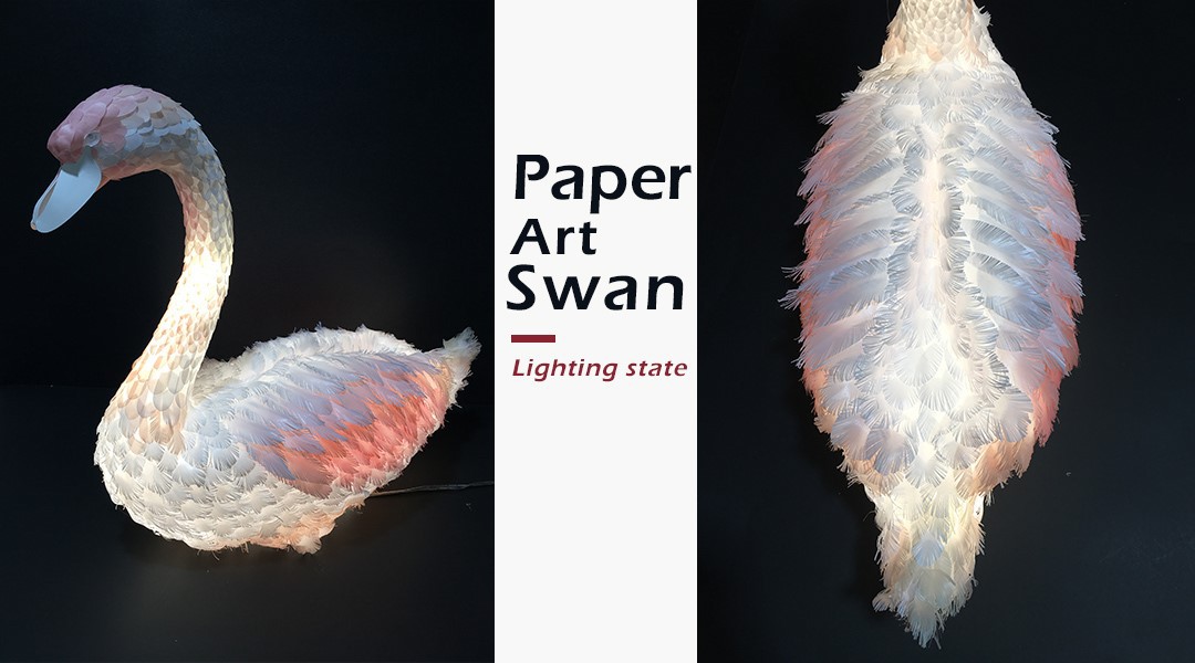 Paper Swan Paper Swan